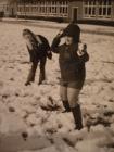 thumbs/DSC00317.JPG.jpg